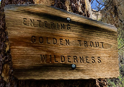 golden trout wilderness